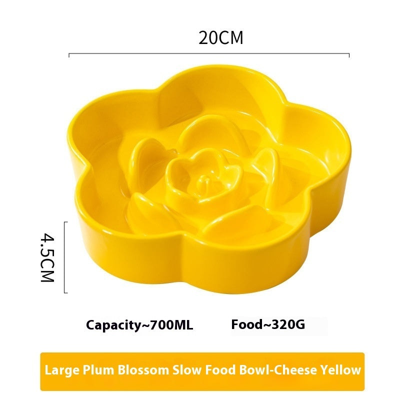 Why Your Pet Needs a Ceramic Slow Feeding Bowl