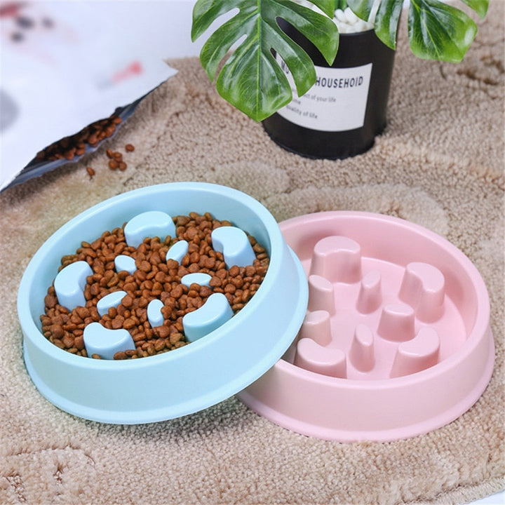 Revolutionize Your Pet's Feeding Experience with the Anti-Choking Slow Feed Pet Bowl