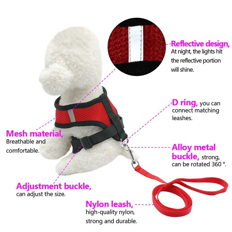 Why Your Pet Needs the Adjustable Safety Leash Strap