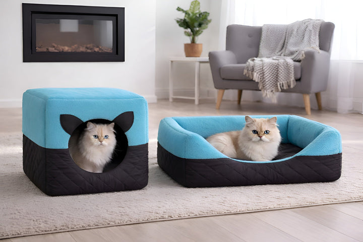 Cozy Pet Beds For Better Rest Every Night