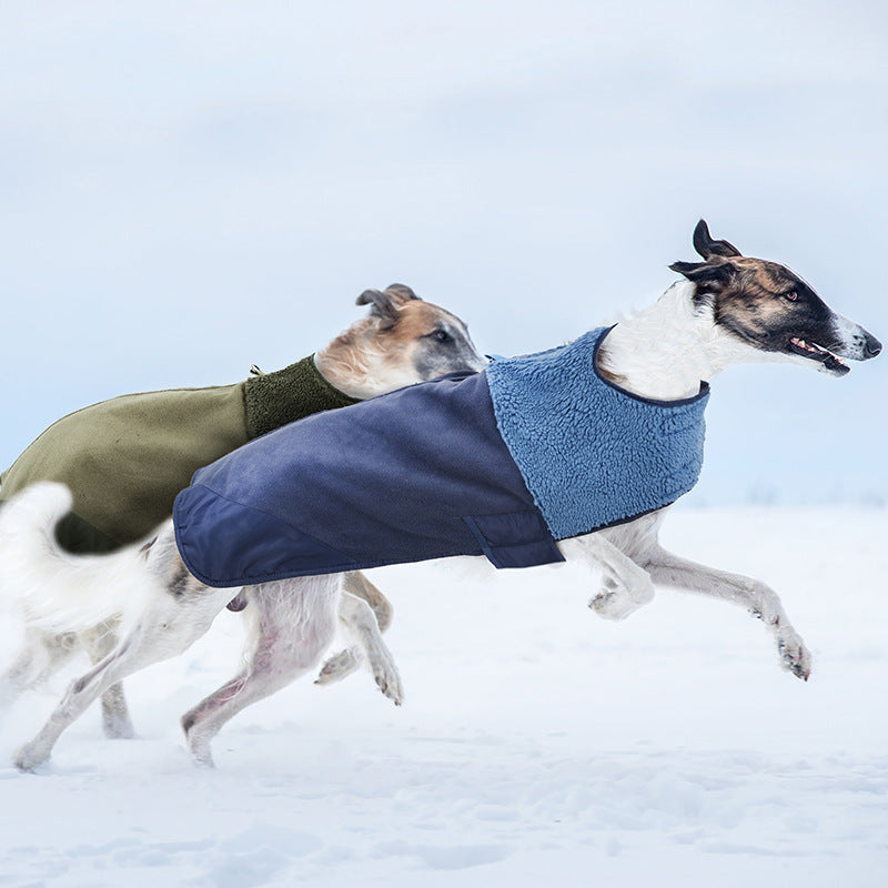 Why Your Pet Deserves the Best: The Windproof Adjustable Pet Down Jacket