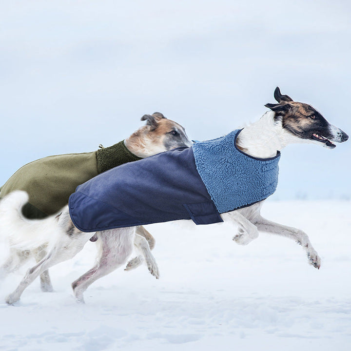 Why Your Pet Deserves the Best: The Windproof Adjustable Pet Down Jacket