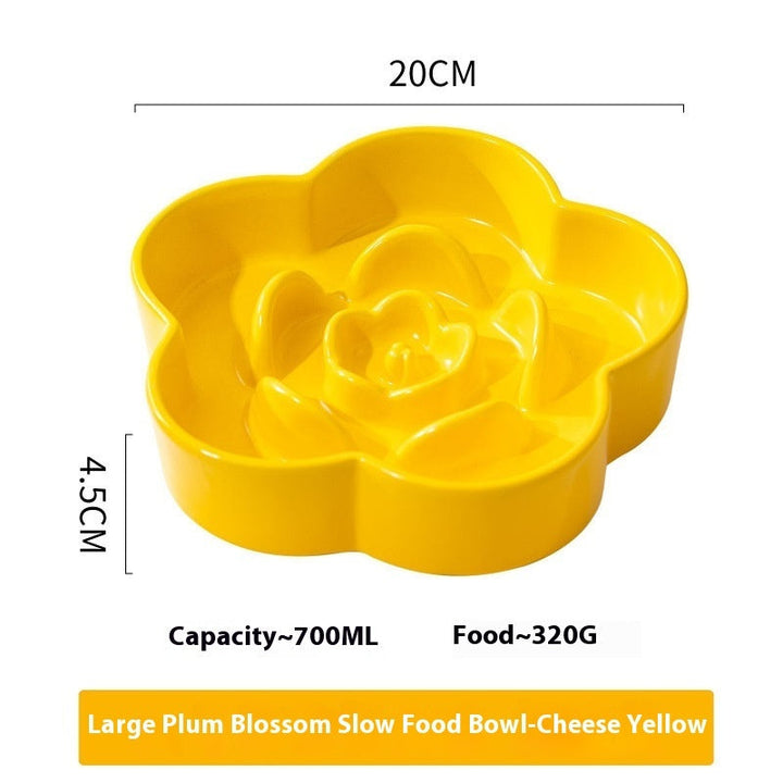 Why Your Pet Needs a Ceramic Slow Feeding Bowl
