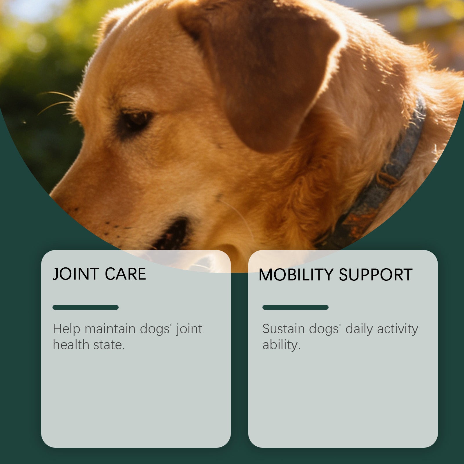 d6b6a0cd149c0613dc10ab813914d638